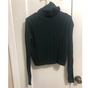 Brandy Melville Turtleneck Ribbed Sweater